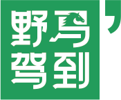 野马驾到